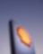 제품정보 및 MSDS