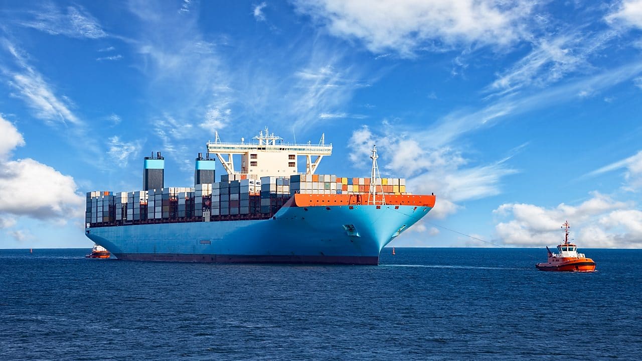 바다에서 파란색 선박 - 조개 해양