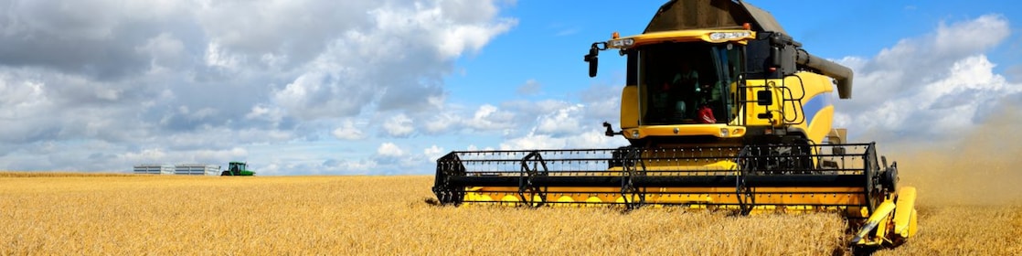 Machine cutting crop in field