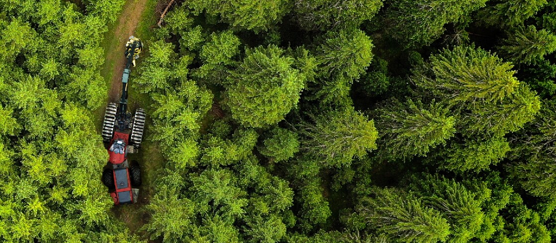 Forestry Machine from above